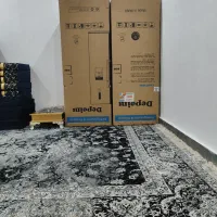 کارتن یخچال دیپونت دی5