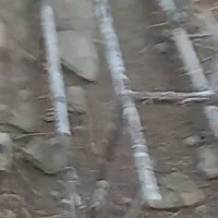 گنجه پرنده ۲×۱ ارتفاع ۱/۵