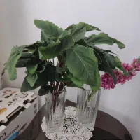 گل های مصنوعی ارکیده و..