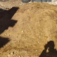 یک نیسان کود حیوانی گوسفند