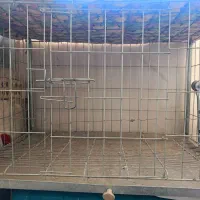 قفس جفتگاه کبوتر|لوازم جانبی حیوانات|مشهد, نوید|دیوار