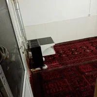 سوئیت. استراحتگاه|اجارهٔ کوتاه‌مدت آپارتمان و سوئیت|سبزوار, کلاته سیفر|دیوار