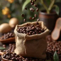 همکار خانم  جهت فروشگاه قهوه