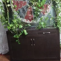 اکواریوم جاکفشی .