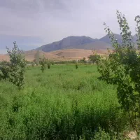 باغ