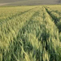 راهنمایی میخوام