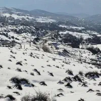 پیش-فروش88متری-92-متری-گلستان