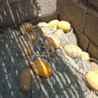 فروش موتور 115باتشت 27فوت طور محاصره ماهی