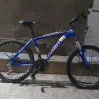 دوچرخه ۲۴ تنه بلند