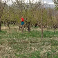 پروش ماهی استخر ماهی باغ ویلایی|فروش خانه و ویلا|ماهنشان, |دیوار