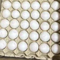 تخم مرغ|خوردنی و آشامیدنی|زرندیه, |دیوار