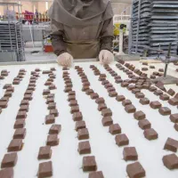 جذب خانم وآقا ازکل کرج ‌درکارخانه شکلات شکوبیت