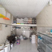 مرغ مینا و قفس