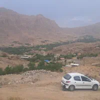 زمین ۲۲۰ متری ده بالا پشت شیرکوه