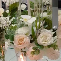 تشریفات مجالس