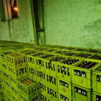 نوشابه شیشه جعبه ای زمزم