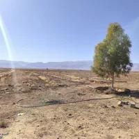 فروش-زمین-زراعی-کمال-آباد