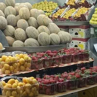 واگذاری-میوه-فروشی