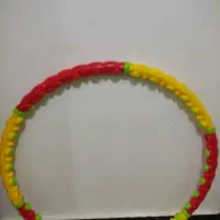 حلقه ی ورزشی بزرگ
