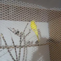 مرغ عشق و فنچ حراج|پرنده|شیراز, شهرک سراج‎|دیوار