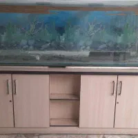 آکواریوم با میز و تاج