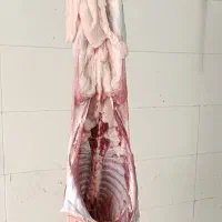 بزغاله وبره