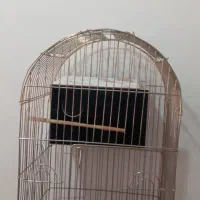 قفس طلایی یک متری برند