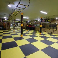 اکادمی تخصصی کاراته