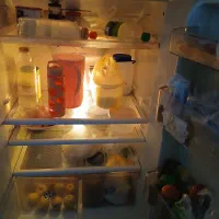 یخچال اصل وبزرگ نوفراست