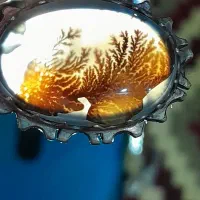 زنجیر کرال تایلندی وآویز شجر|جواهرات|ابهر, |دیوار