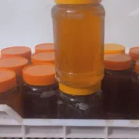 عسل ارگانیک