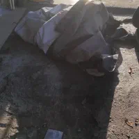 باربند آریسان 2 به همراه چادر ضد آب|قطعات یدکی و لوازم جانبی|تولم شهر, |دیوار