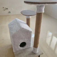 خانه و اسکرچر گربه|گربه|یزد, |دیوار