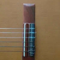 گیتار Dalahu با کاور|گیتار، بیس، امپلیفایر|بجنورد, |دیوار