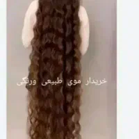تولید کننده ی مو
