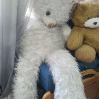 عروسک پشمی ۵۰۰هزار|اسباببازی|هشتگرد, شهرک ارم غربی|دیوار