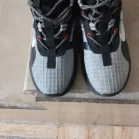 کتونی نایک ویتنامی ۴۱