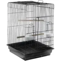 قفس کاسکویی