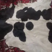 پوست گاو طبیعی بزرگ