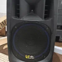 اکو پرتابل 12 اینچ برین صوت