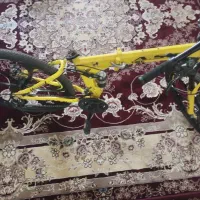 دوچرخه