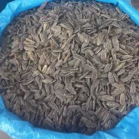 تخمه اعلاs400