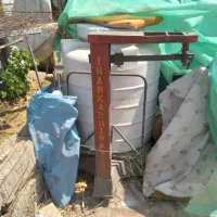 فروش باسکول