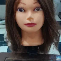 سر مانکن