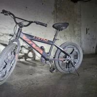 دوچرخه ۲۰ ویوا