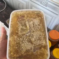 عسل طبیعی