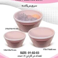 فروس ظرف نگهداری غذا