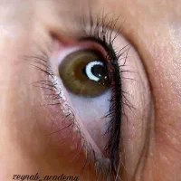 آرایش دائم میکروبلیدینگ وخطچشم وبن مژه وشیدلب|خدمات آرایشگری و زیبایی|اصفهان, دشتستان|دیوار