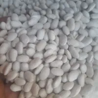 لوبیا چیتی ۳۳۰|خوردنی و آشامیدنی|پاکدشت, حصار امیر|دیوار