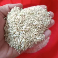 برنج چمپه خوش پخت خوش طعم